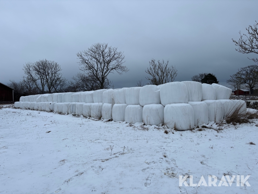 Ensilagebalar 100st