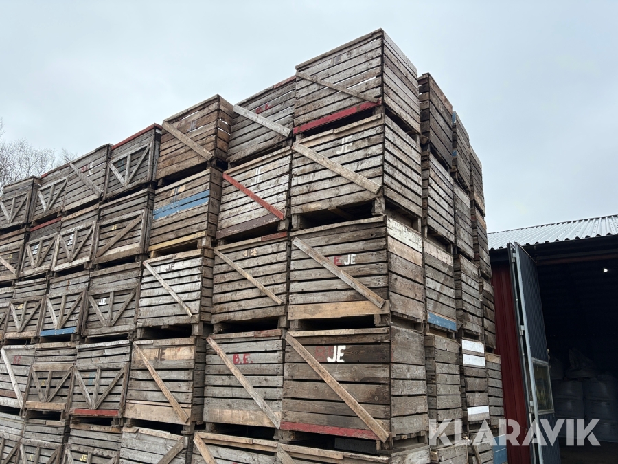 Potatislådor 125 st