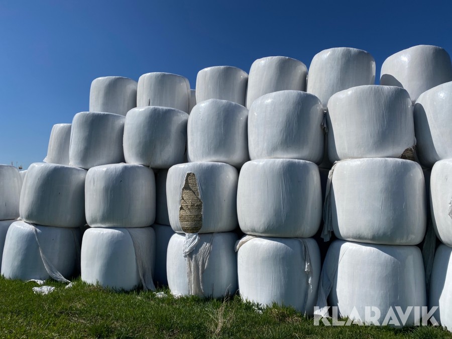 Rundbalar halm, av vete och korn 20st