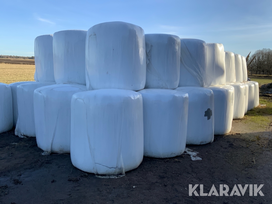 Helsäd ensilage havre 50st