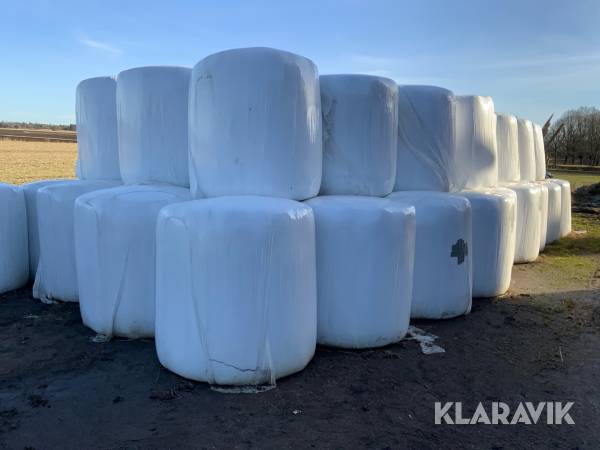 Helsäd ensilage havre 50st