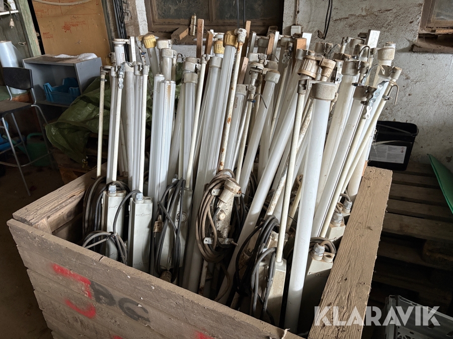 Lysrör Förgroning, seriekopplade 40st