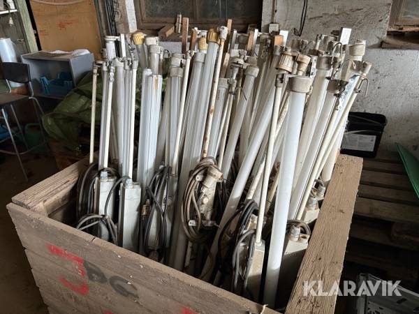 Lysrör Förgroning, seriekopplade 40st