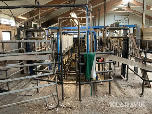 Mjölkgrop DeLavall 2x8 parallellstall