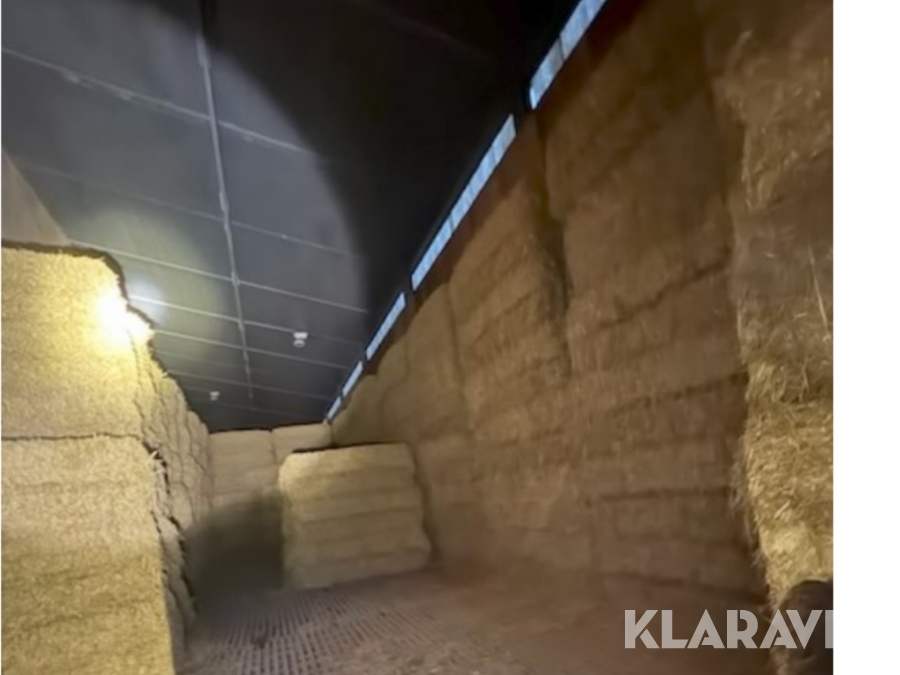 Halmbalar Kornhalm 12st