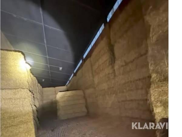 Halmbalar Kornhalm 12st