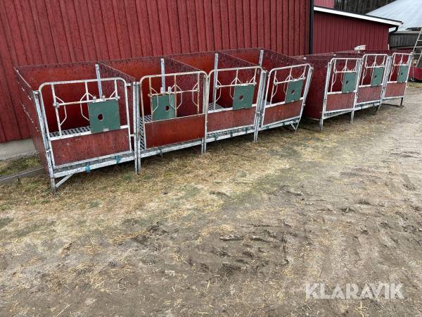 Kalvboxar 7 st