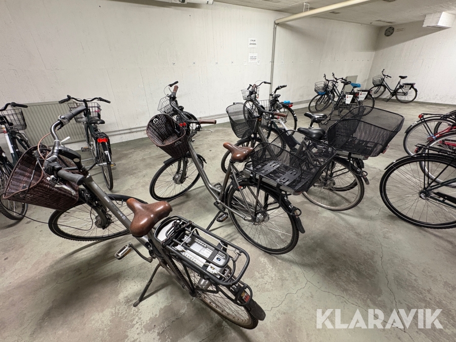 Parti med elcyklar Batavus Genova