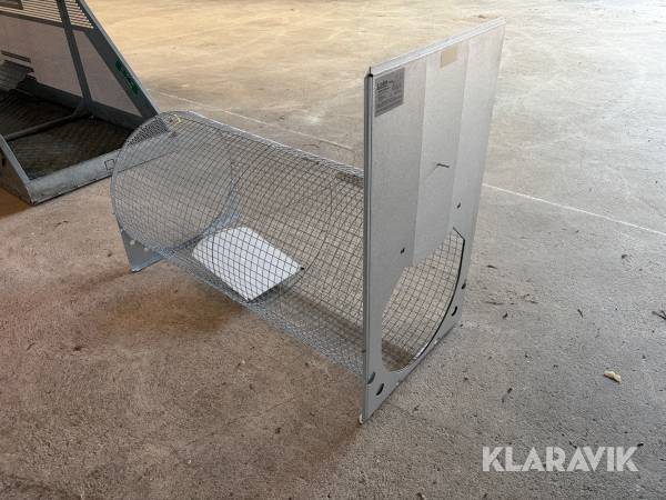 Grävlingfälla Lotin Traps