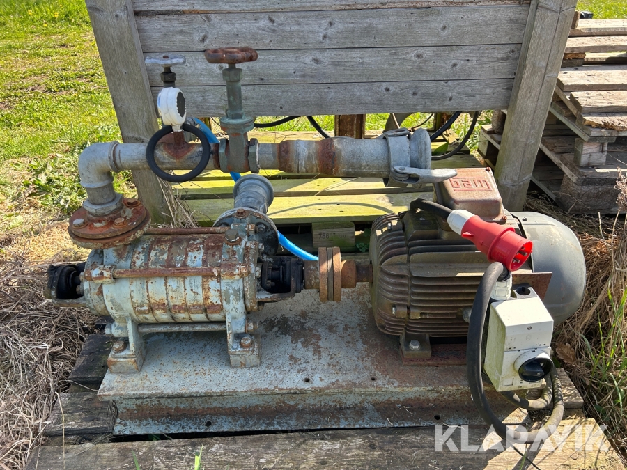 Ringpump
