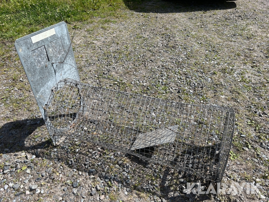 Grävlingsfälla Lotin