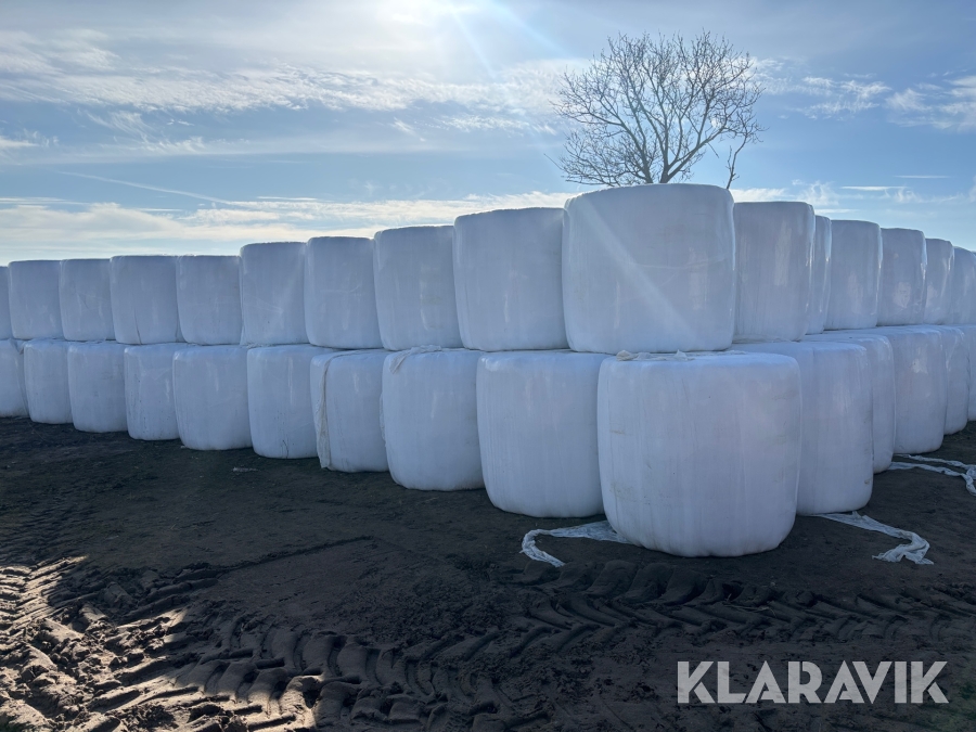 Ensilagebalar 50st
