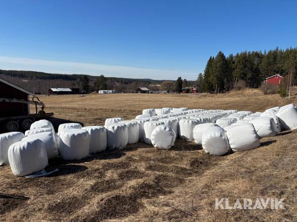 Ensilage i rundbalar 80st