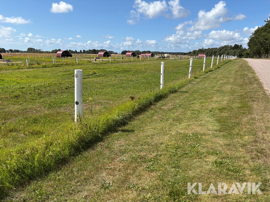 Stängsel Equisafe