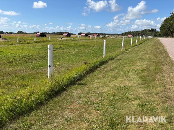 Stängsel Equisafe