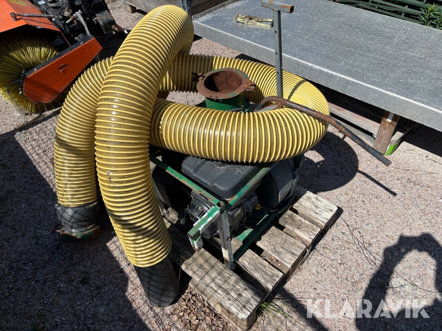 Lövsug