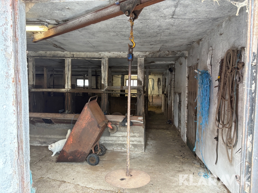 Rundbalsspjut med vagga