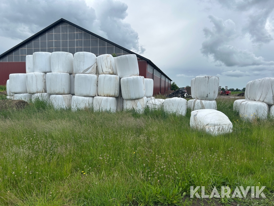 Ensilagebalar ca 50 st