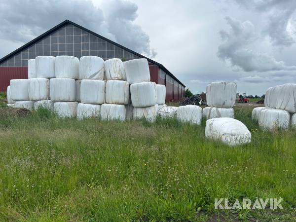 Ensilagebalar ca 50 st