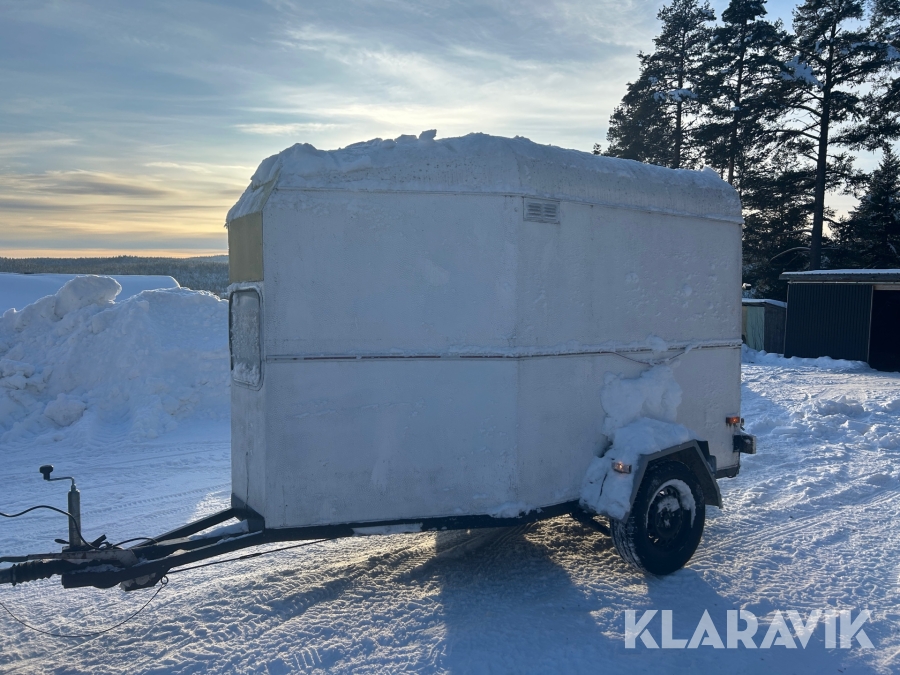 Hästtransport Bygdsiljumsläp Brunte