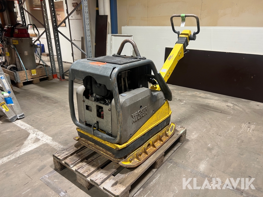 Markvibrator Wacker Neuson Dpu 6555 Hec