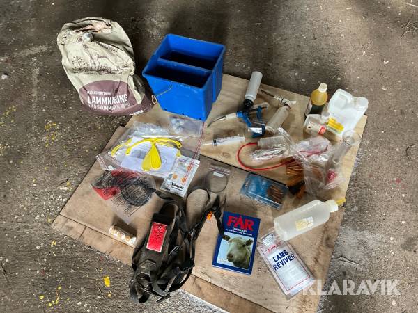 Startpaket till fårskötsel