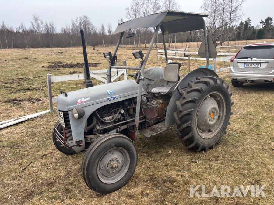 Veterantraktor Massey Ferguson Grålle