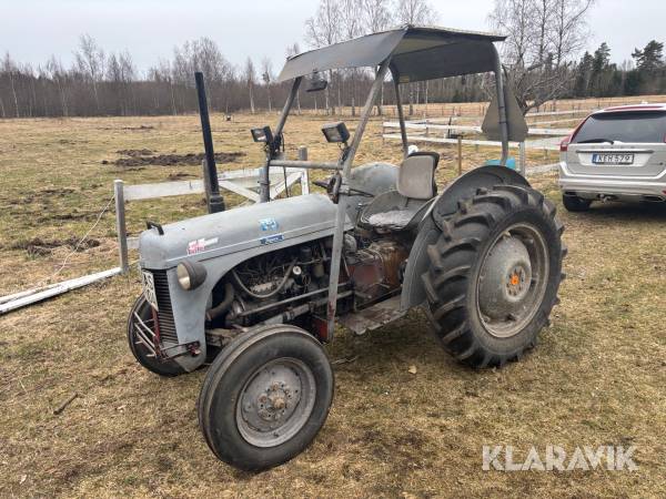 Veterantraktor Massey Ferguson Grålle
