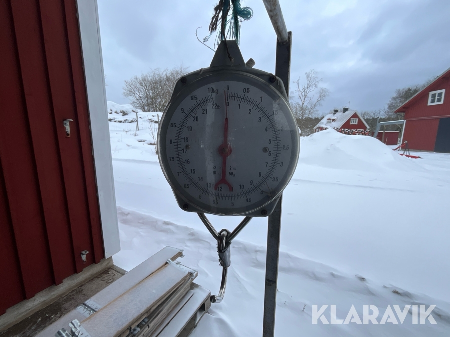 Hövåg / våg med ställning