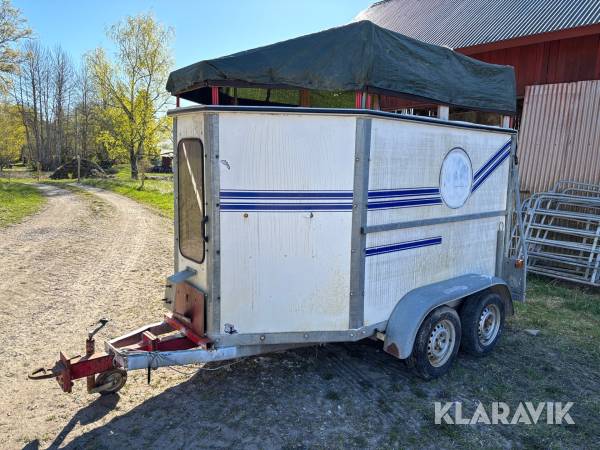 Djurtransport Boj med bakgavelramp