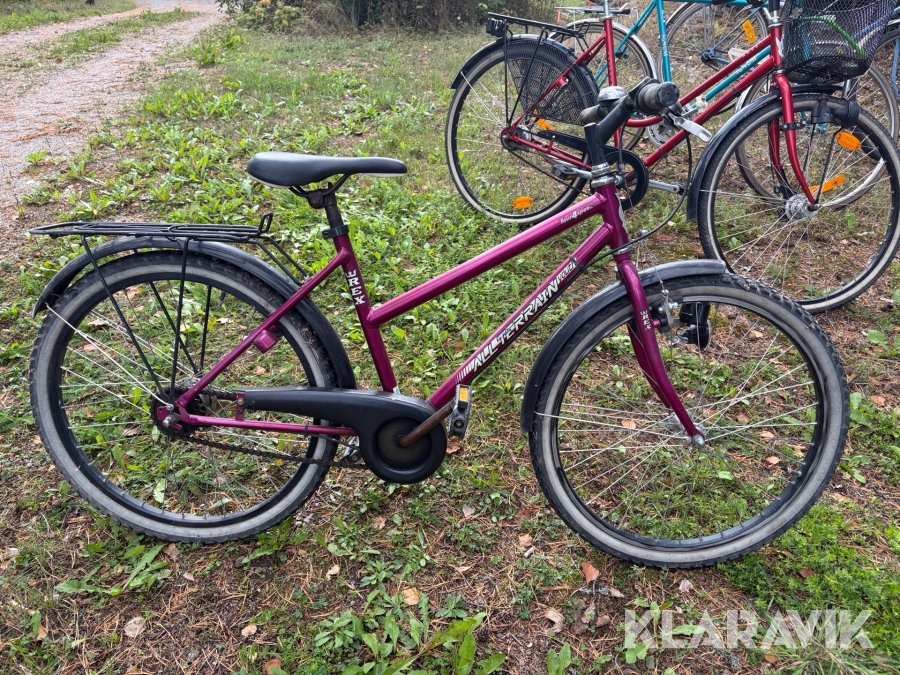 Cykel Rex