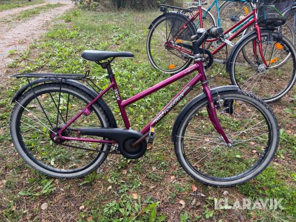 Cykel Rex