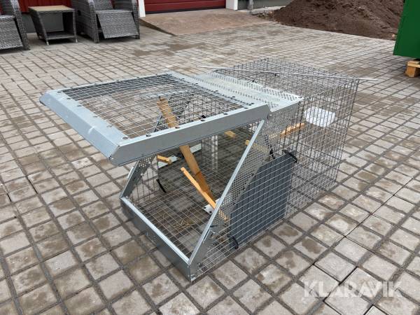 Enkelfälla Lotin för kråka