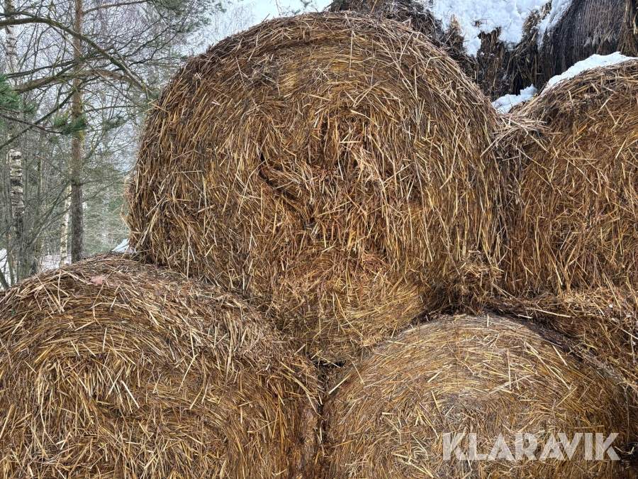 Ströhalm 50 balar