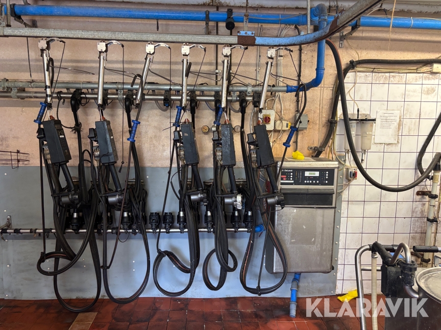 Mjölkanläggning DeLaval C200 Standard 80L med disk