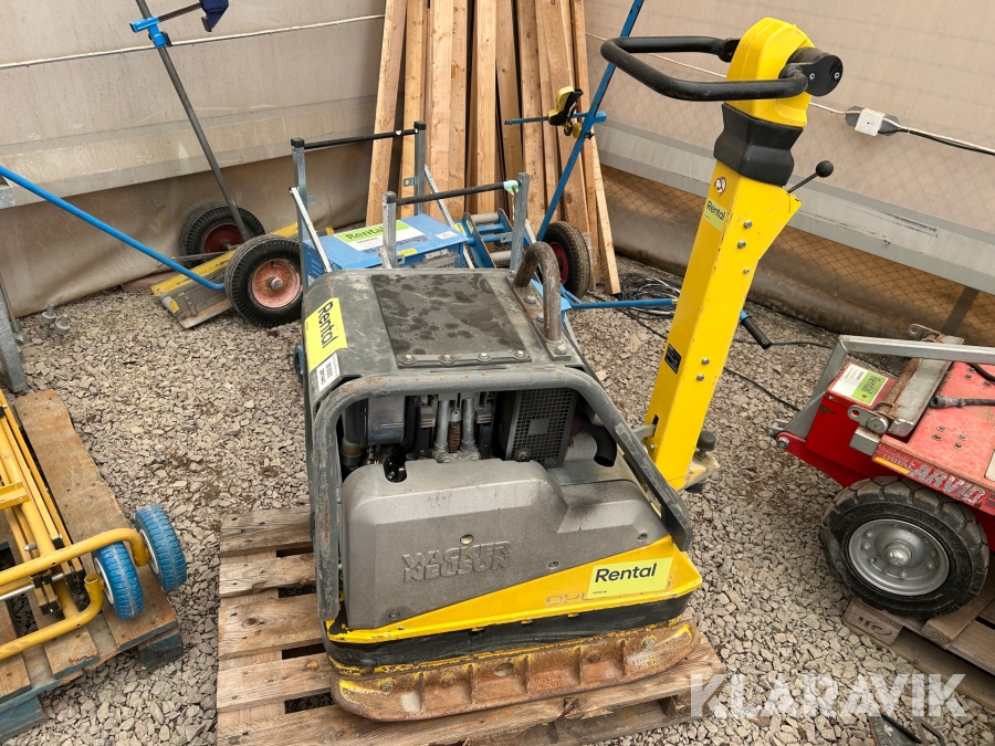 Markvibrator Wacker Neuson DPU6555 Hech