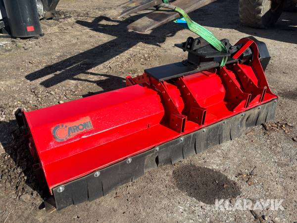 Klipphuvud/Slaghack Caroni TM1900