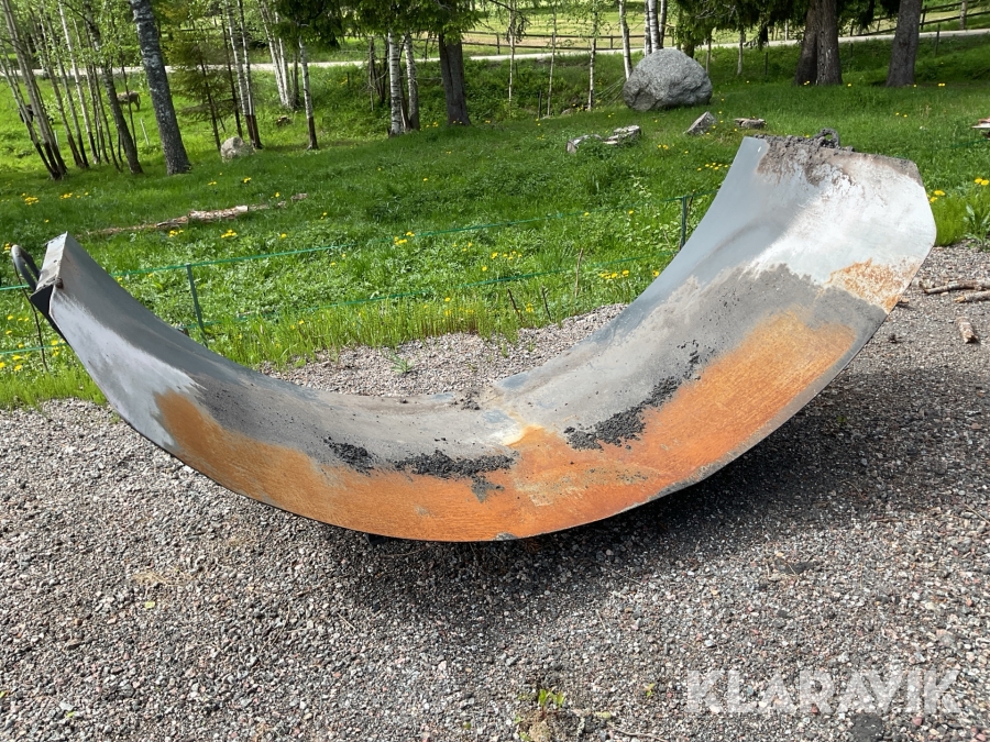 Asfaltsskägg Istrail