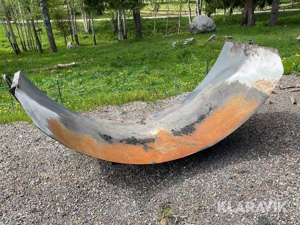 Asfaltsskägg Istrail