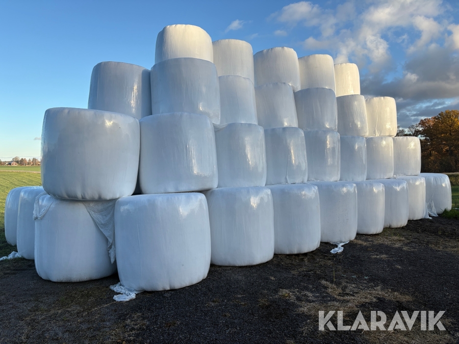 Ensilage 2:e skörd