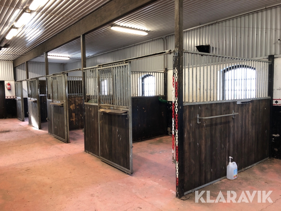 Hästboxar 4 st Jaba  