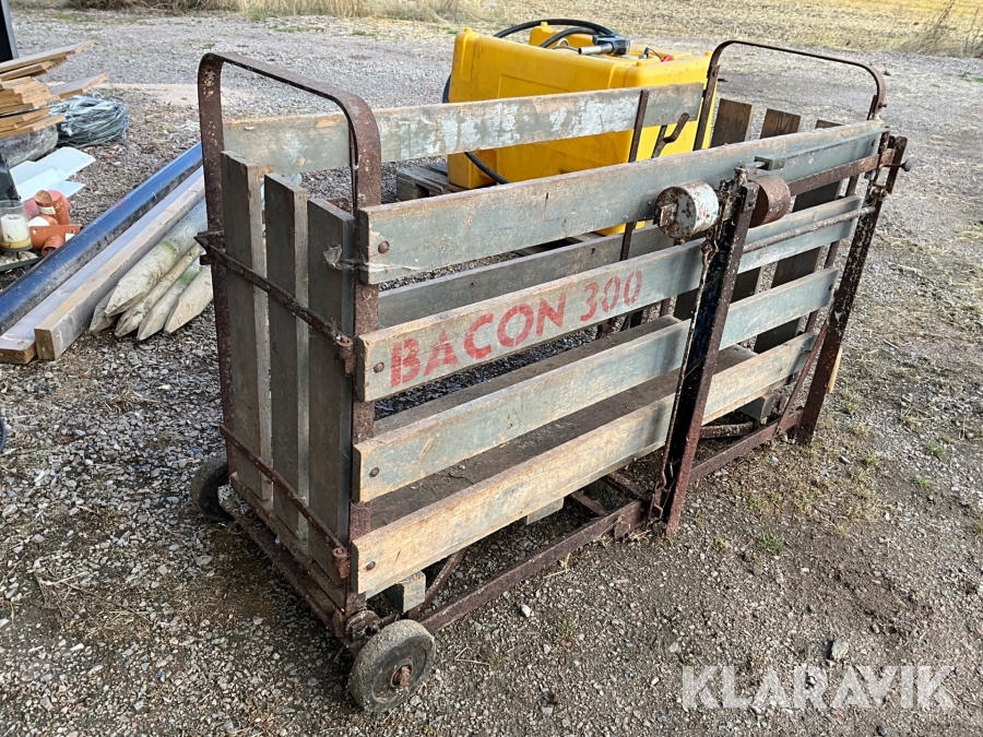 Grisvåg Bacon 300