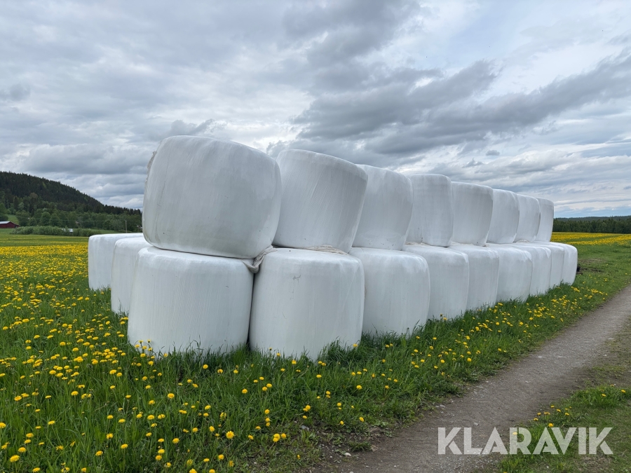 Ensilagebalar 40 st