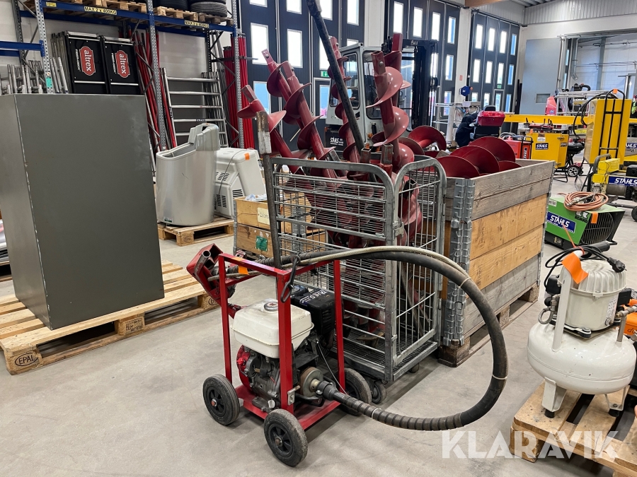 Jordborr Little Beaver