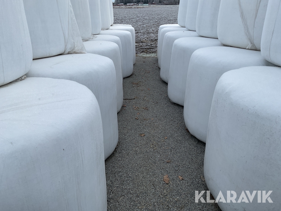 Torr Vetehalm plastad 52st