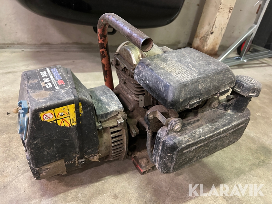 Elverk Endress ESE 20 BS