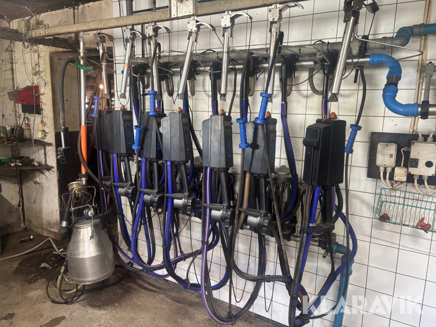 Mjölkanläggning Alfa Laval Milkmaster 7st
