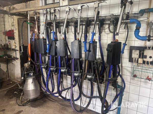 Mjölkanläggning Alfa Laval Milkmaster 7st