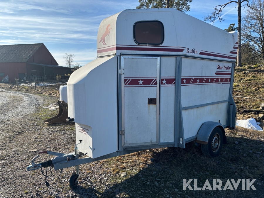 Hästtransport Star Trailer Rubin