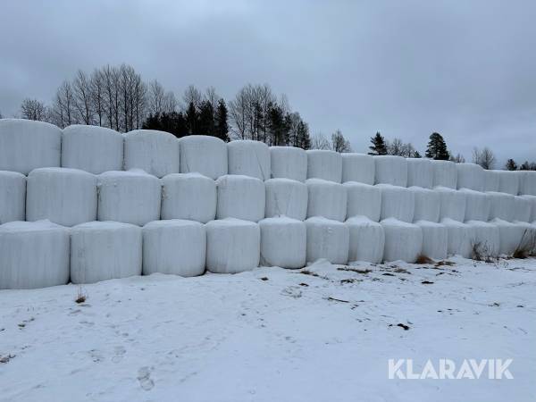 Helsädsensilage i rundbal Ekologiskt 50 st